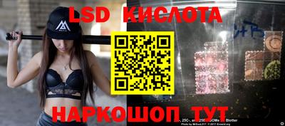 амф Донской