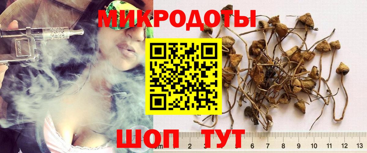 Гусь-Хрустальный  Псилоцибиновые грибы Cubensis  Вход с VPN 